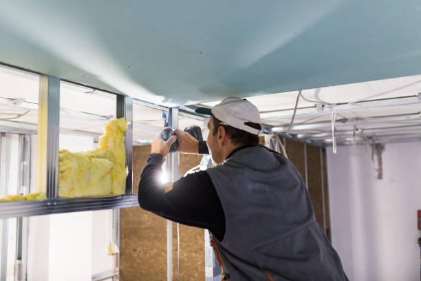 Best Insulation Replacement Services  in Shrub Oak, NY